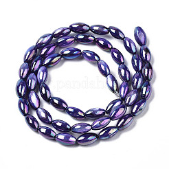 Freshwater Shell Beads Strands&nbsp;SHEL-N026-141A