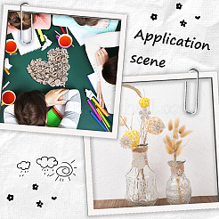 Laser Cut Wood Shapes&nbsp;WOOD-SC0001-73