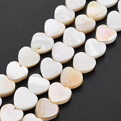 Natural Freshwater Shell Beads Strands&nbsp;SHEL-S276-70