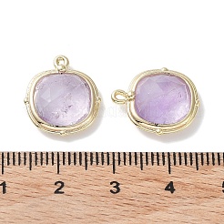 Natural Amethyst Pendants&nbsp;G-G012-09C-02