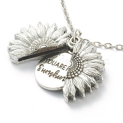 Openable Alloy Pendant Necklaces&nbsp;NJEW-M186-02ASP