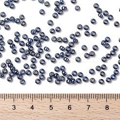 MIYUKI Round Rocailles Beads&nbsp;SEED-G008-RR2447