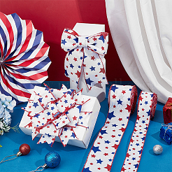 2 Rolls 2 Styles Polyester Ribbon&nbsp;OCOR-PH0007-87