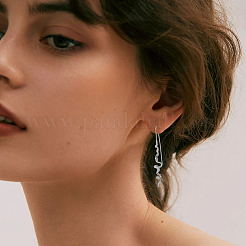 1 Pair Brass Dangle Earrings&nbsp;EJEW-HS0001-29P