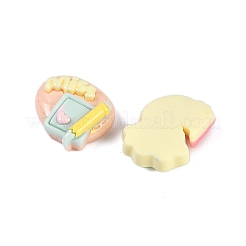 Resin Cabochons&nbsp;RESI-H166-02