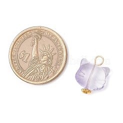Transparent Glass Pendants&nbsp;PALLOY-JF03960