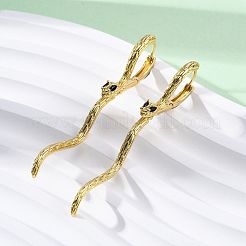 Snake Brass Hoop Earrings&nbsp;EJEW-R025-27G