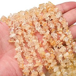 Natural Citrine Beads Strands&nbsp;X-G-P332-51