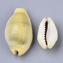 Natural Cowrie Shell Beads&nbsp;SSHEL-N034-B-26