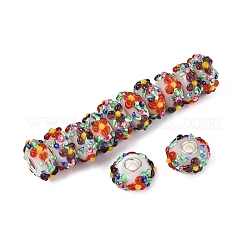 Handmade Lampwork & Brass Core European Beads&nbsp;LAMP-N044-06S-01