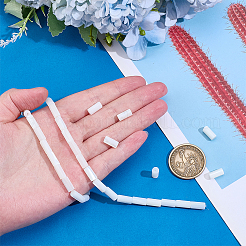 1 Strand Natural Freshwater Shell Beads Strands&nbsp;BSHE-PH0001-55A