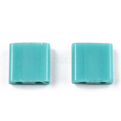 FGB 200Pcs 2-Hole Baking Paint Glass Seed Beads&nbsp;SEED-TD001-01