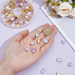 106pcs 6 Style Sew On Rhinestone&nbsp;FIND-OC0004-09B