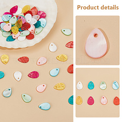 80Pcs 8 Styles Freshwater Shell Dyed Teardrop Charms&nbsp;FIND-PH0018-28