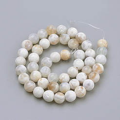 Natural Fire Crackle Agate Beads Strands&nbsp;X-G-S249-09-8mm