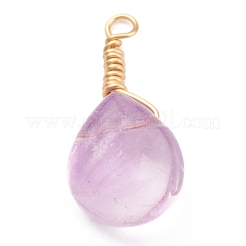Natural Fluorite Pendants&nbsp;PALLOY-JF00607