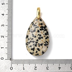 Natural Dalmatian Jasper Pendants&nbsp;G-B188-01G-04