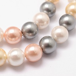Shell Pearl Bead Strands&nbsp;LS-BSHE-L017-17