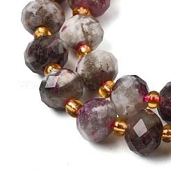 Natural Plum Blossom Tourmaline Beads Strands&nbsp;G-D105-B01
