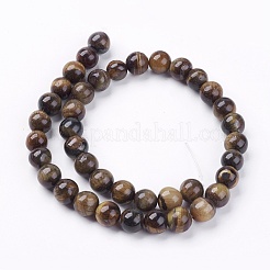 Natural Tiger Eye Round Bead Strands&nbsp;G-R200-10mm