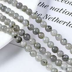 Natural Labradorite Round Beads Strands&nbsp;G-S158-6mm