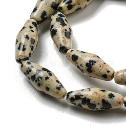 Natural Dalmatian Jasper Beads Strands&nbsp;G-A223-A08-01
