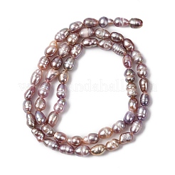 Natural Cultured Freshwater Pearl Beads Strands&nbsp;PEAR-F020-02B