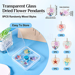 5Pcs Transparent Glass Pendants&nbsp;GLAA-TA0002-81