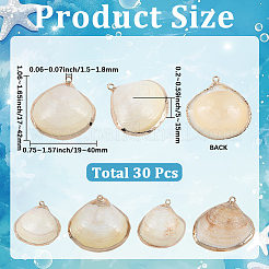 30Pcs Electroplated Natural Shell Pendants&nbsp;SSHEL-SC0001-58