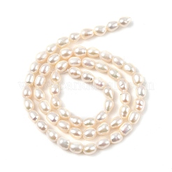 Natural Cultured Freshwater Pearl Beads Strands&nbsp;PEAR-I007-01A-02A