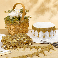 Polyester Lace Ribbon with Tassel&nbsp;OCOR-WH0082-462