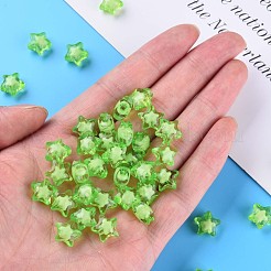 Transparent Acrylic Beads&nbsp;TACR-S152-01A-730