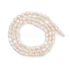 Natural Cultured Freshwater Pearl Beads Strands&nbsp;PEAR-P064-20D-01A