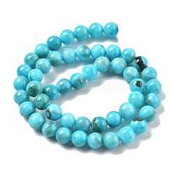 Natural Persian Jade Beads Strands&nbsp;G-A255-A02-02H