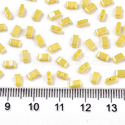 FGB 2-Hole Glass Seed Beads&nbsp;X-SEED-S031-M-SH122