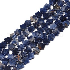 Natural Sodalite Beads Strands&nbsp;G-B138-C12-01