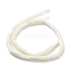 Natural Trochus Shell Beads Strands&nbsp;SSHEL-S266-020A-06