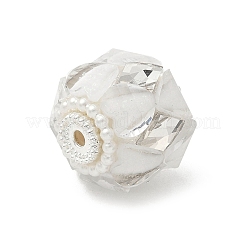 Transparent Acrylic Beads&nbsp;CLAY-NH0003-04S-01