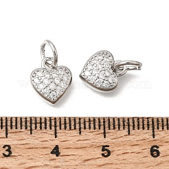Valentine's Day Brass Micro Pave Clear Cubic Zirconia Charms&nbsp;KK-Z156-19P