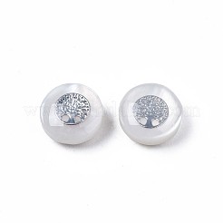 Natural Freshwater Shell Beads&nbsp;SHEL-N003-22-17P