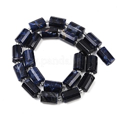 Natural Sodalite Beads Strands&nbsp;G-G453-E06-10x14mm