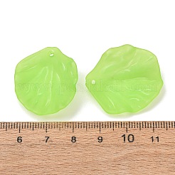 Frosted Acrylic Pendants&nbsp;AC-CBA1E6C-01A