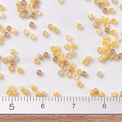 MIYUKI Delica Beads&nbsp;SEED-X0054-DB2061