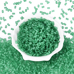 FGB Frosted Transparent Glass Seed Beads&nbsp;SEED-N013-05A-09