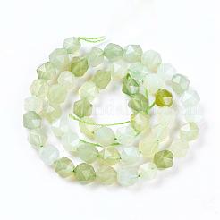 Natural New Jade Beads Strands&nbsp;G-F607-05-A