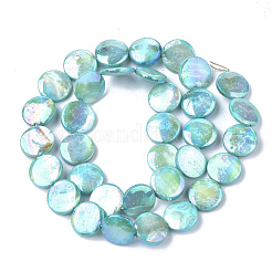 Freshwater Shell Beads Strands&nbsp;SHEL-S274-52