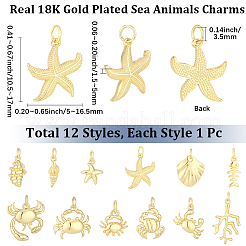 12Pcs 12 Styles Brass Pendants&nbsp;KK-BBC0028-07