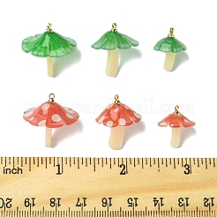 10Pcs 2 Colors Plastic Pendants&nbsp;KY-FS0001-34A