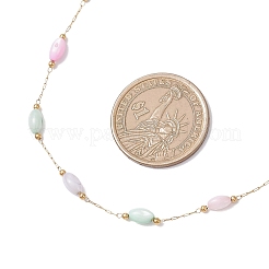Dyed Rice Natural Shell & 304 Stainless Steel Link Chain Necklaces&nbsp;NJEW-JN05450