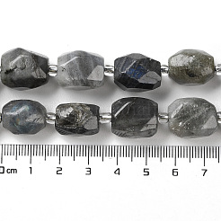 Natural Labradorite Beads Strands&nbsp;G-C105-A02-01